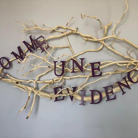 게스트하우스 Comme Une Evidence Chambres D'Hotes 생-뱅상-쉬르-자르