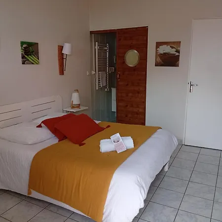 Pensionat Comme Evidence Et D'hotes Saint-Vincent-sur-Jard