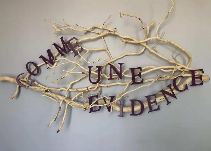 Affittacamere Comme évidence D'hotes Saint-Vincent-sur-Jard