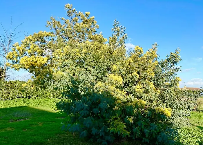 Comme évidence D'hotes